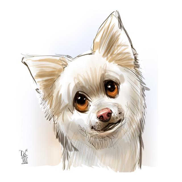 California Caricature Artists